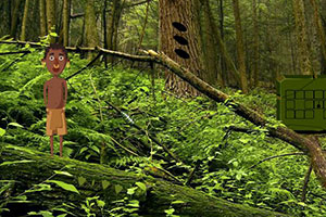 FlyDubai向空客订购最多150架A321neo