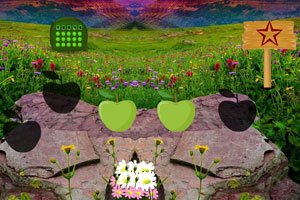 ng体育.com下载桌面版客户端