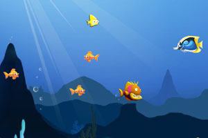 豪江智能：聘任财务总监