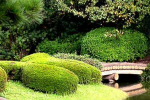 晕了晕了！机构大动作调仓，55只行业主题ETF被疯狂扫货，而热门的半导体竟被悄然抛售